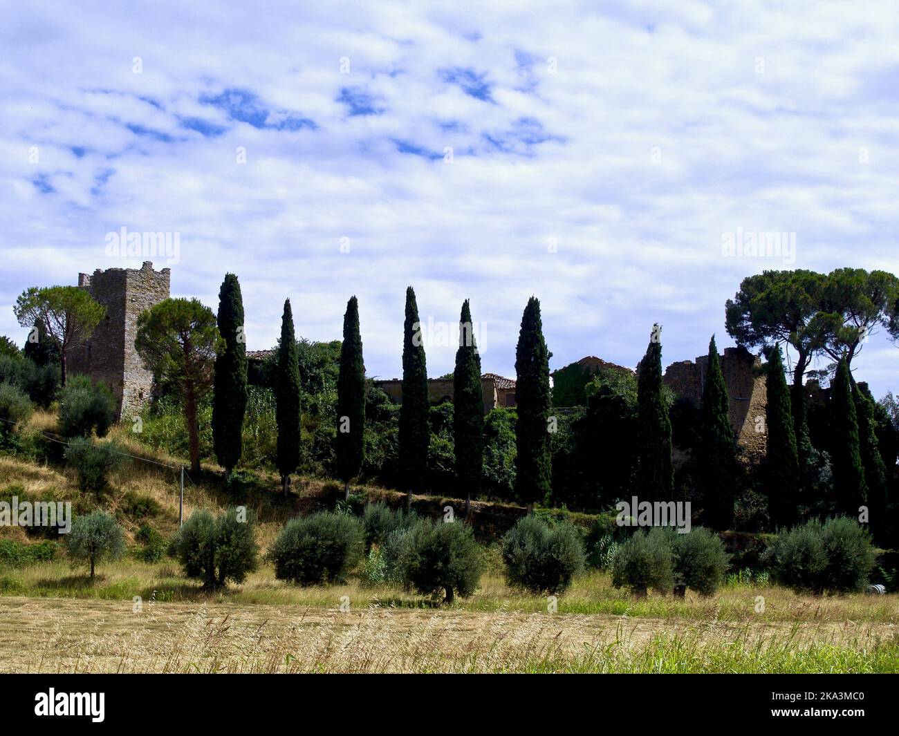 vista panoramica di un antico castello nella campagna toscana in una calda giornata estiva. splendidi colori naturali Foto Stock