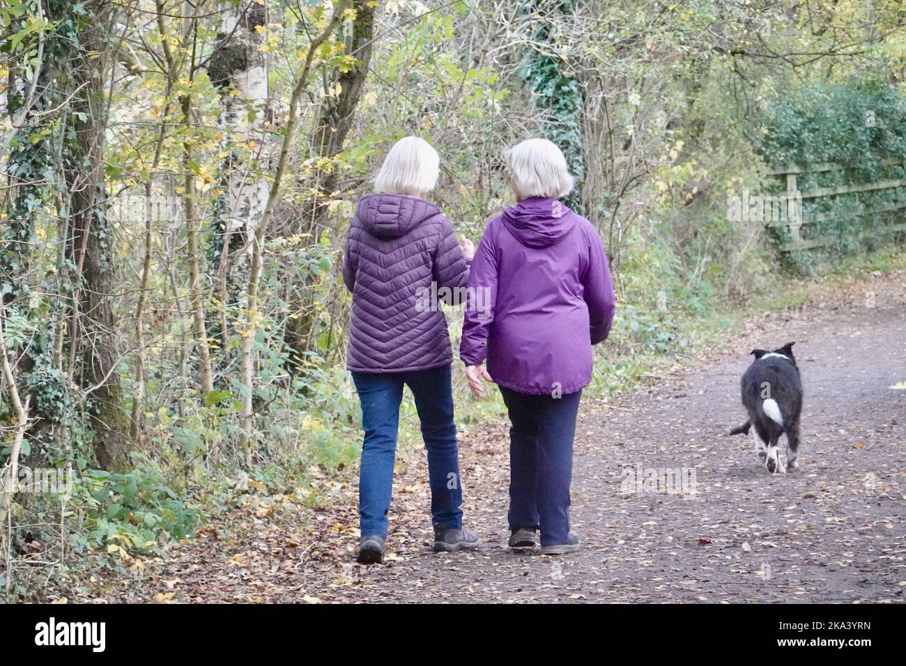 Due donne camminano con un cane sul Sentiero di Sett Valley, Derbyshire Foto Stock