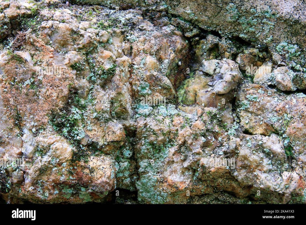 Lichene verde che cresce sulla faccia di roccia modellata rouch. Foto Stock