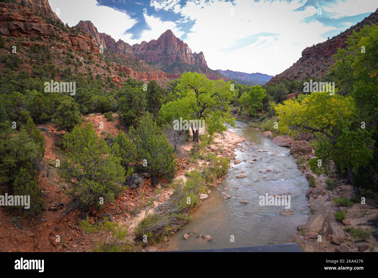 Parco Nazionale di Zion, Utah Foto Stock