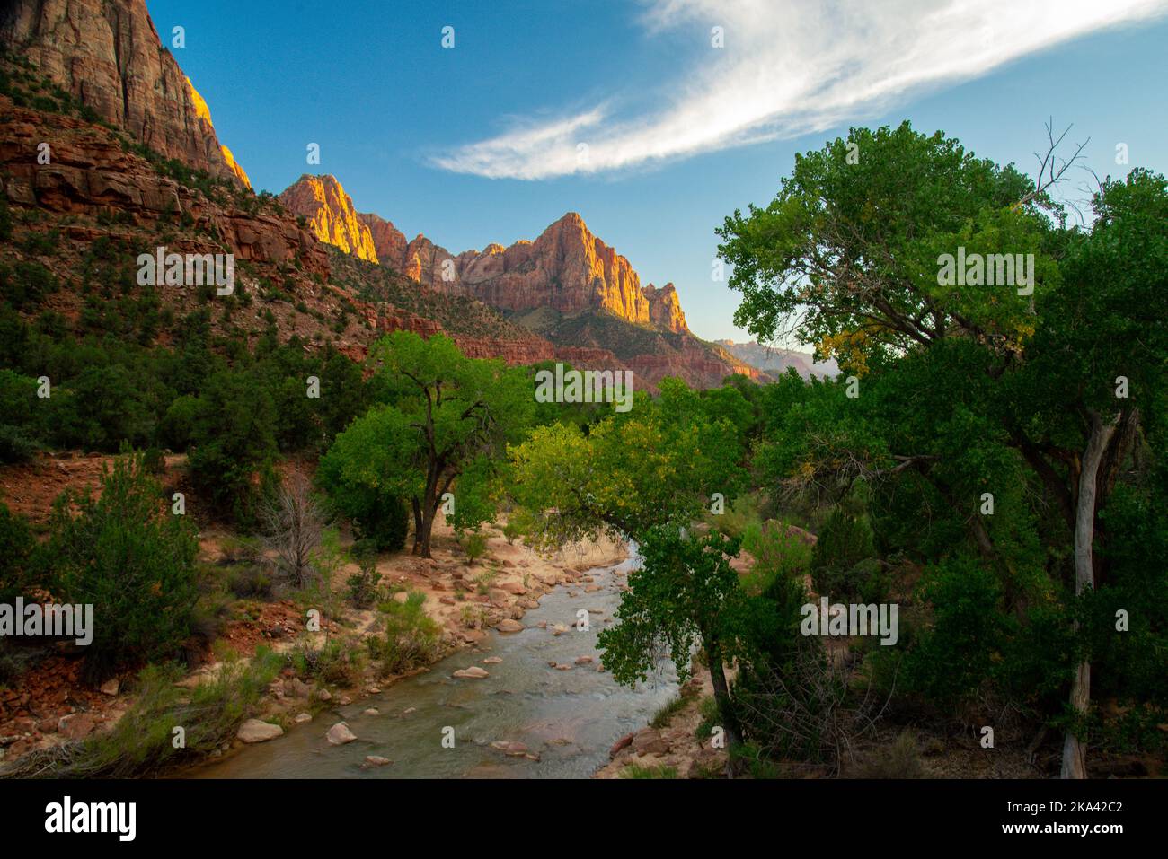 Parco Nazionale di Zion, Utah Foto Stock