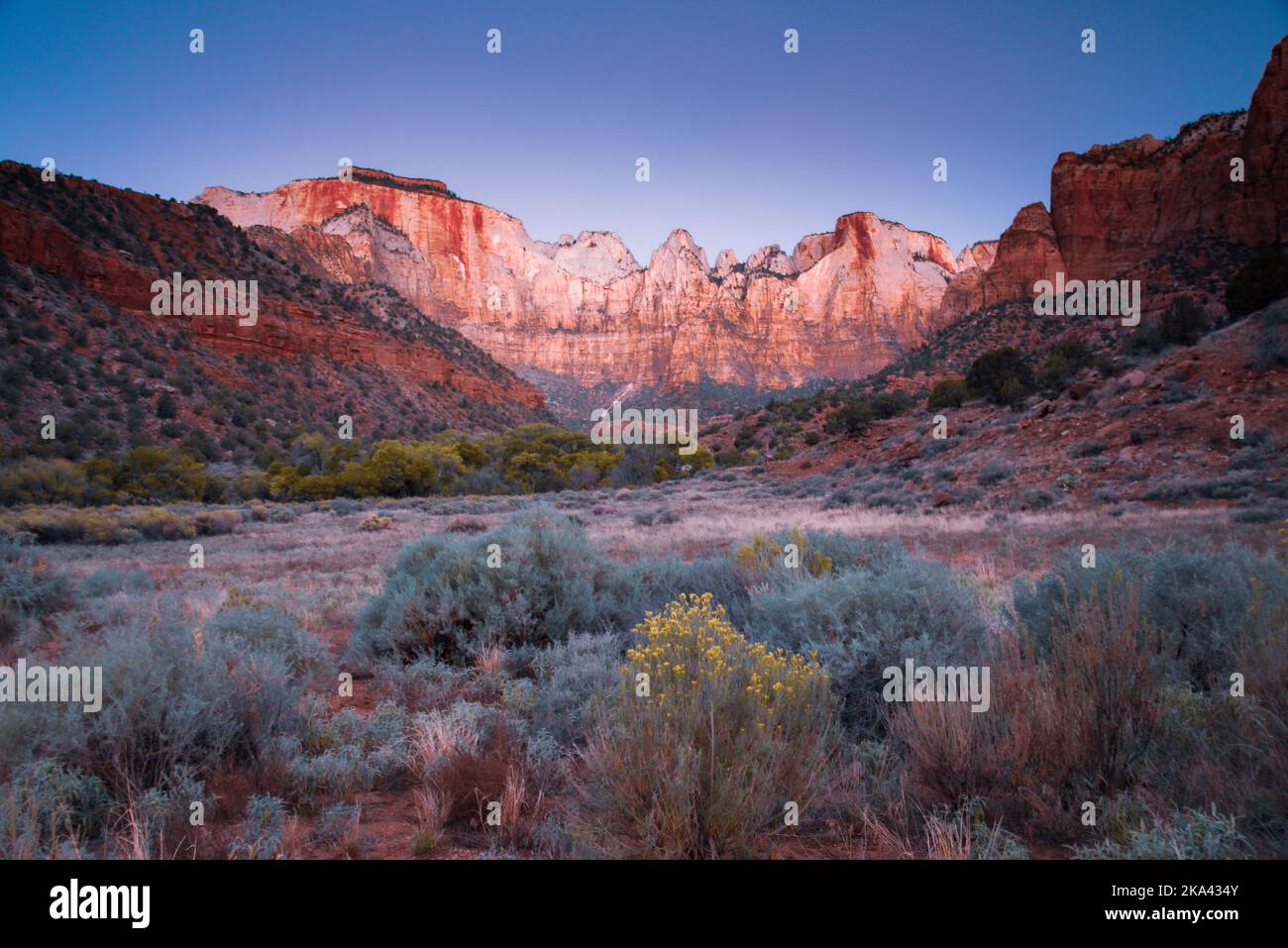 Torri della Vergine nel Parco Nazionale di Zion, Utah Foto Stock