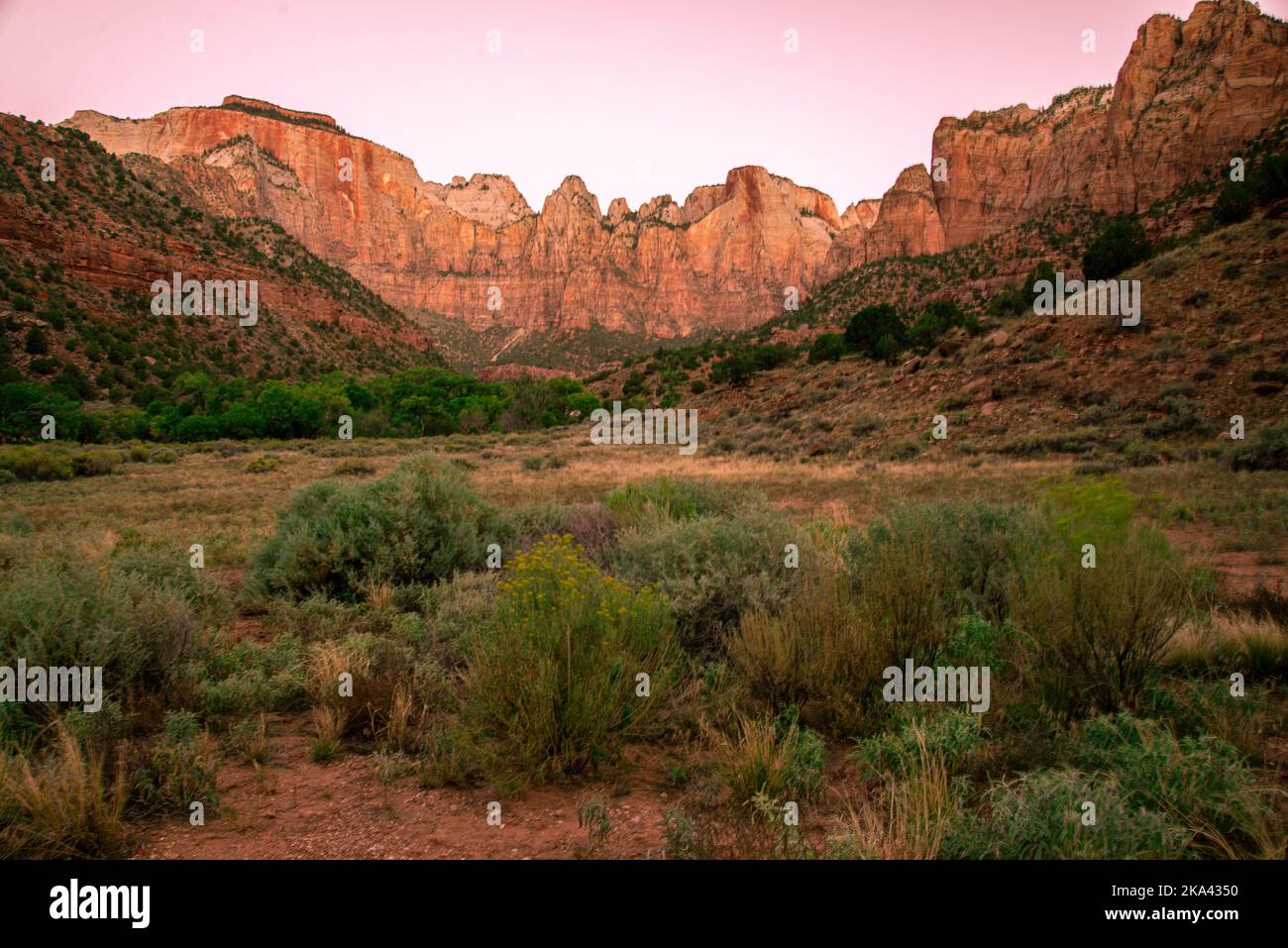 Torri della Vergine nel Parco Nazionale di Zion, Utah Foto Stock