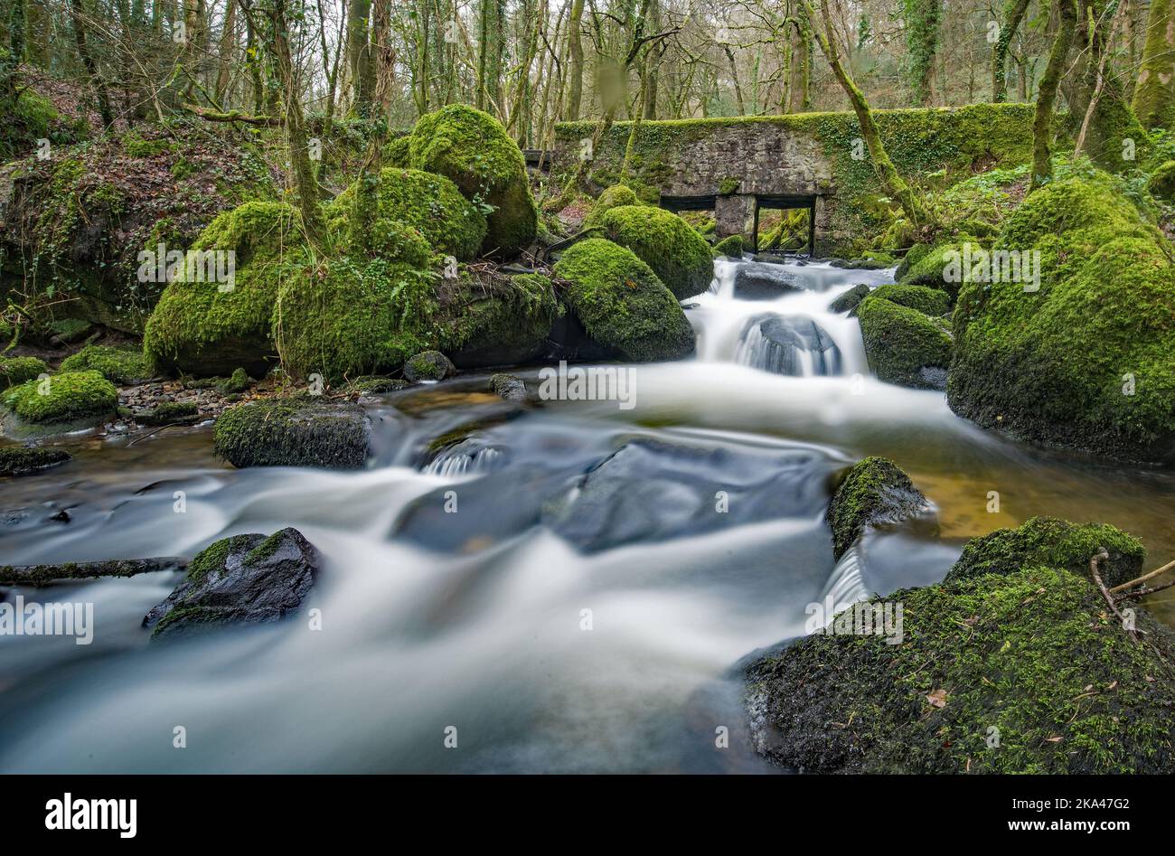 Lunga esposizione di cascata rom il fiume Kennall che corre sotto un vecchio ponte a Kennall vale in Cornovaglia Foto Stock