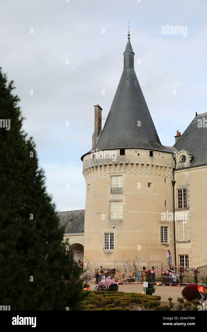 Chateau Azay le Ferron, Centro, Francia. Foto Stock