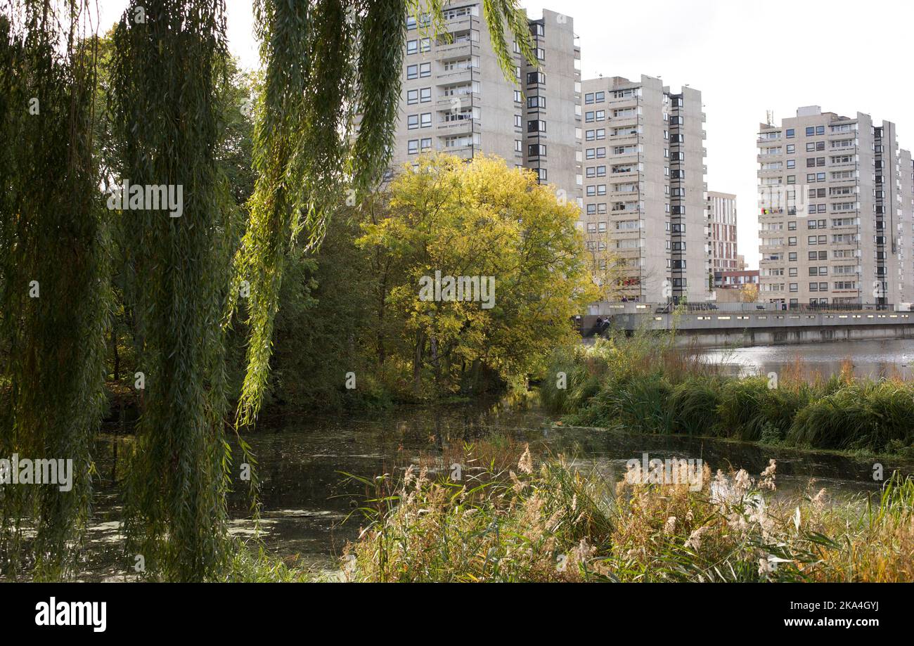 La tenuta brutalista del 1960s a Southmere Lake, Thamesmead, Londra. Lo sfondo della versione cinematografica di Stanley Kubrick Di Un arancione Clockwork. Prendere nota del willo Foto Stock