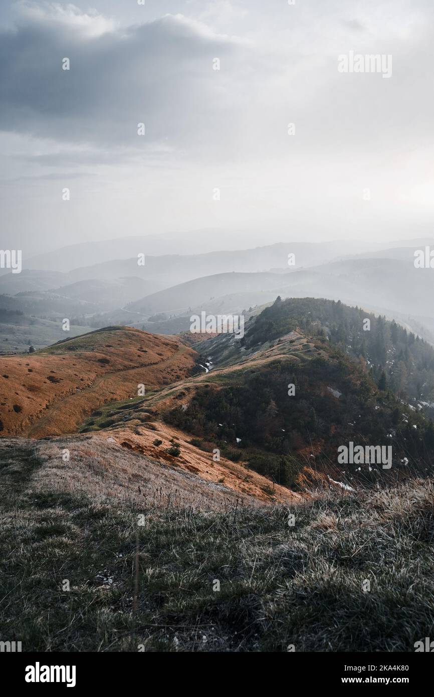 Una vista mozzafiato dal Monte Grappa ricoperto di campi verdi e boschi del Veneto Italia Foto Stock