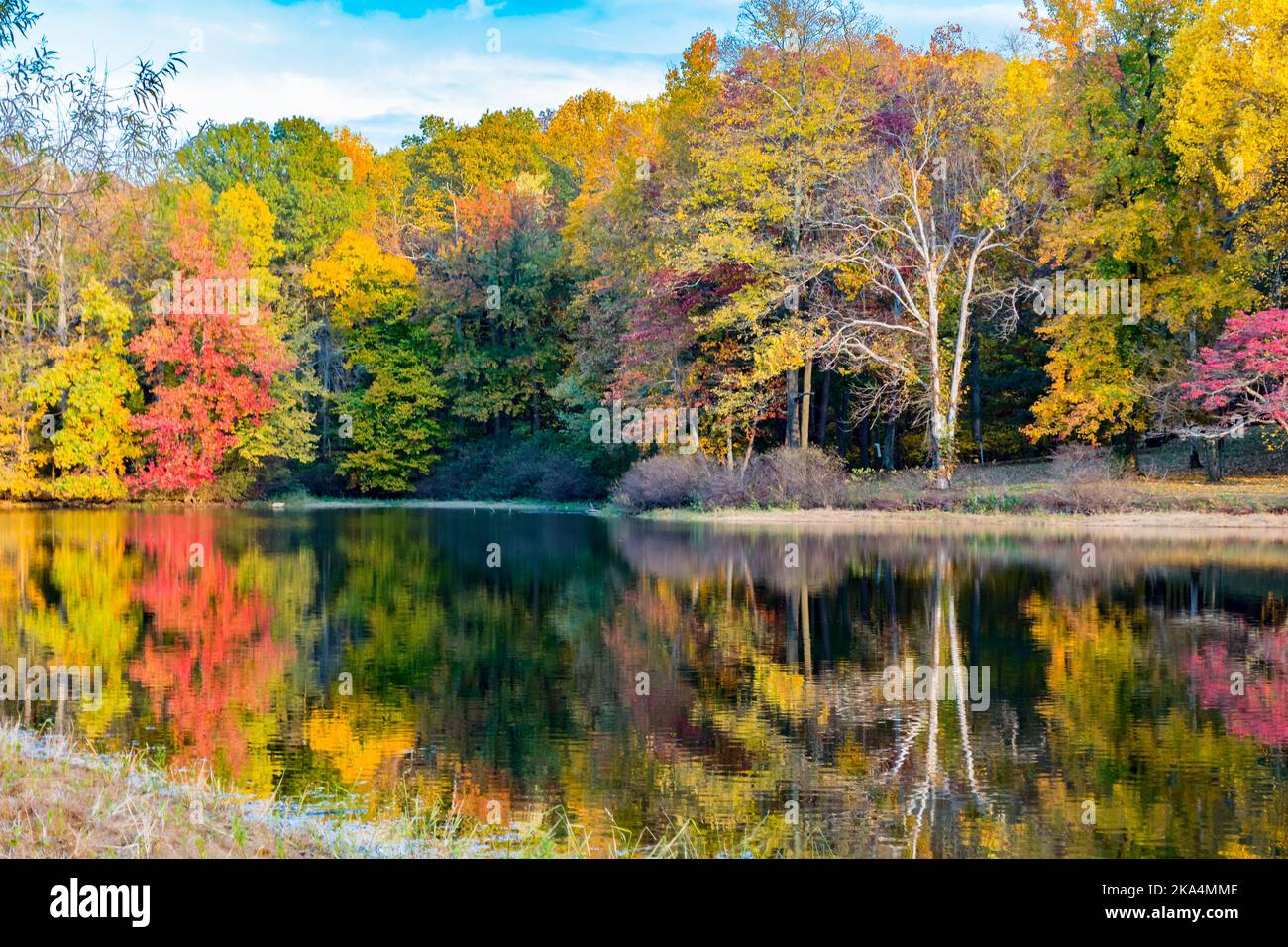 Un bellissimo scatto di Audubon state Park con un lago e alberi autunnali Foto Stock