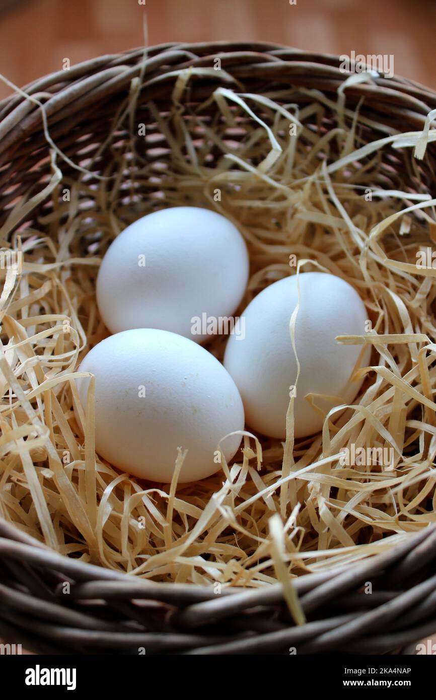 Uova fresche di pollo in Un carrello tessuto fatto in casa foto d'archivio per la storia verticale Foto Stock