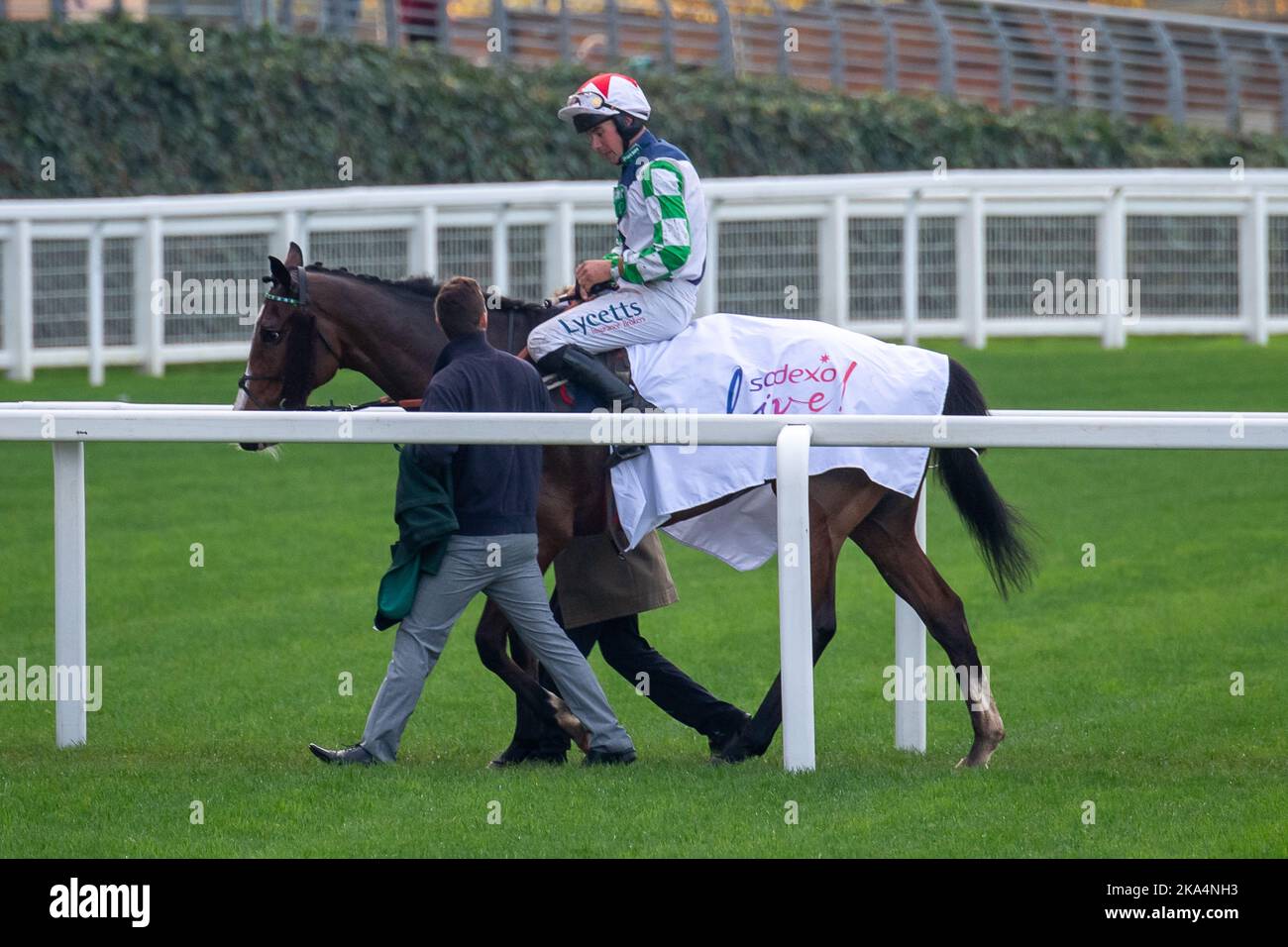 Ascot, Berkshire, Regno Unito. 29th ottobre 2022. Horse Our Power guidato dal jockey Charlie Deutsch vince la Bateaux London Gold Cup handicap Steeple Chase all'ippodromo Ascot. Proprietario Walters Plant Hire e Potter Group. Allenatore Sam Thomas, Cardiff. Allevatore John Hennessy. Credito: Maureen McLean/Alamy Foto Stock