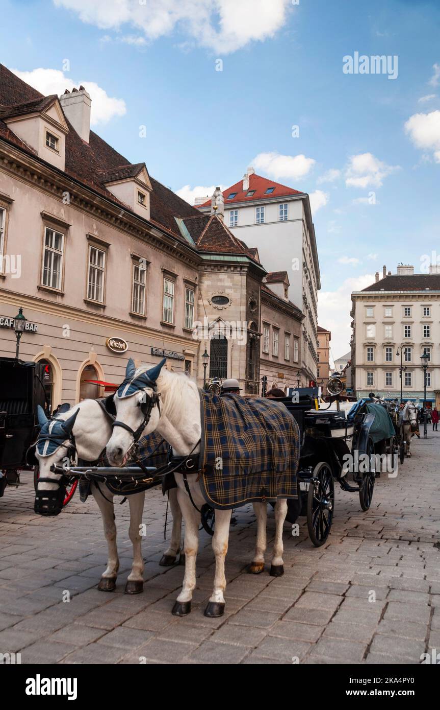 Le carrozze viennesi trainate da due cavalli fanno parte del paesaggio della capitale austriaca. Foto Stock