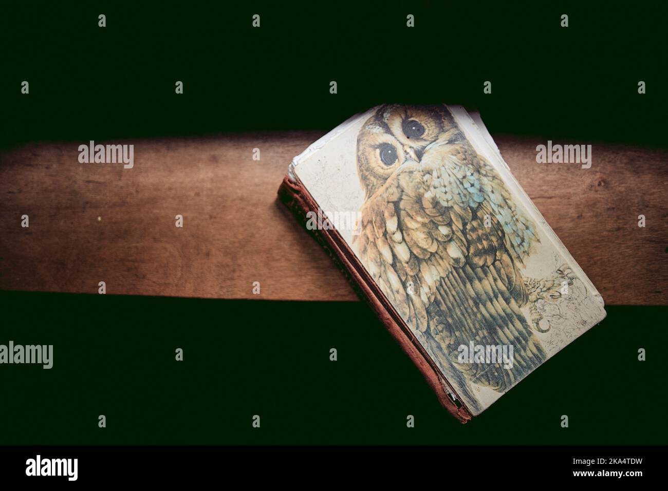 Vintage Readers Digest Book of British Birds Foto Stock