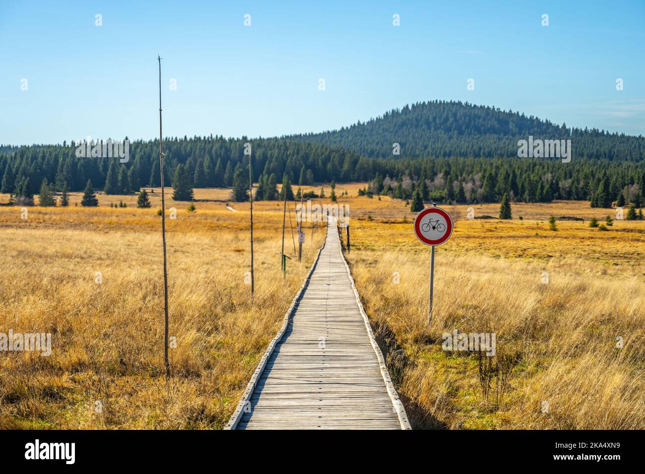 Sentiero in legno in Bozi Dar torbiera riserva naturale nella soleggiata giornata autunnale. Montagne del minerale, ceco: Krusne Hory, Repubblica ceca Foto Stock