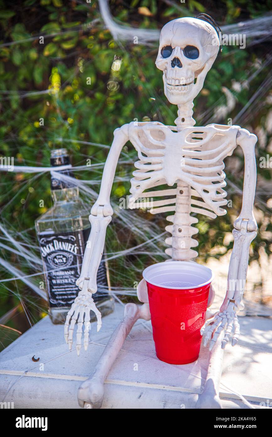 Uno scheletro sta tenendo una tazza rossa di plastica Halloween decorazione. Foto Stock