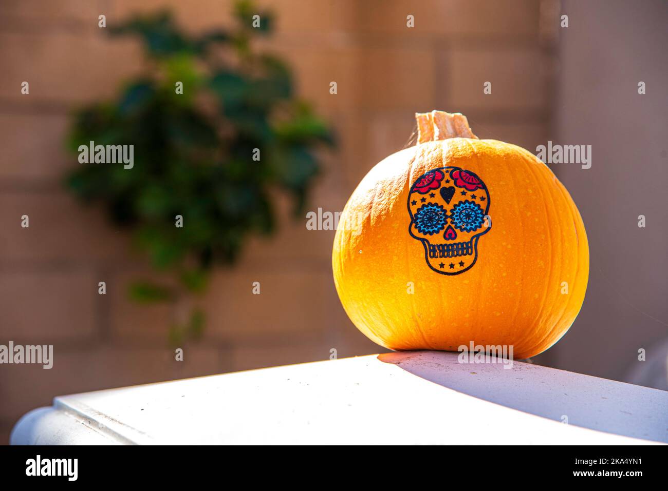 Una zucca con la faccia dipinta di un cranio. Una decorazione di Halloween di fronte alla casa di una famiglia. Foto Stock