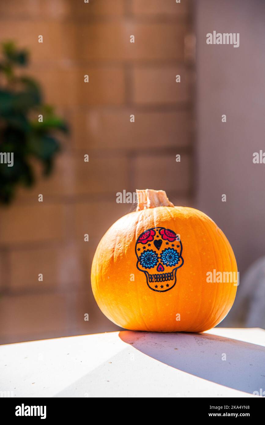 Una zucca con la faccia dipinta di un cranio. Una decorazione di Halloween di fronte alla casa di una famiglia. Foto Stock