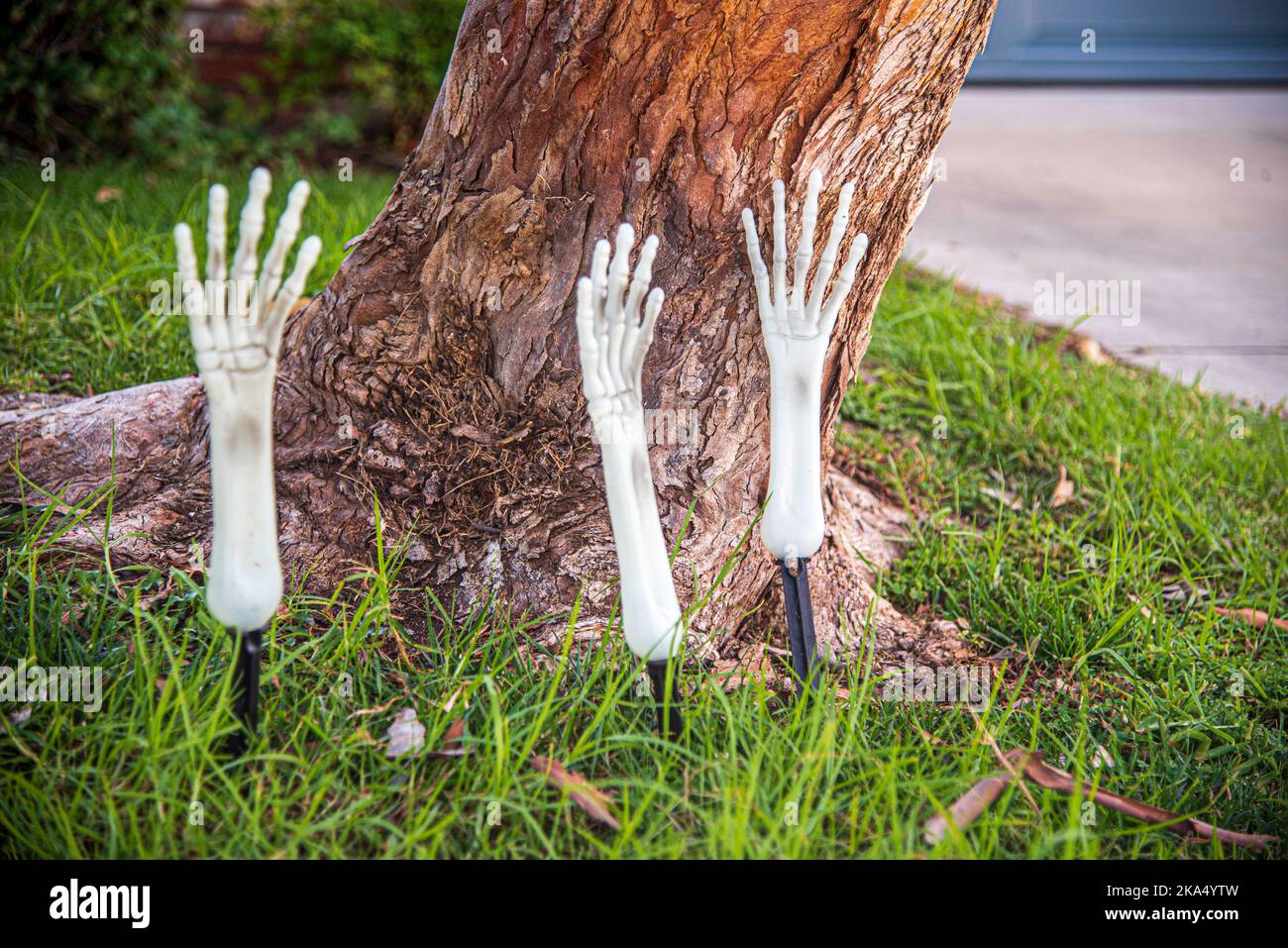 Tre mani finte che escono dalla terra, decorazioni di Halloween. Foto Stock