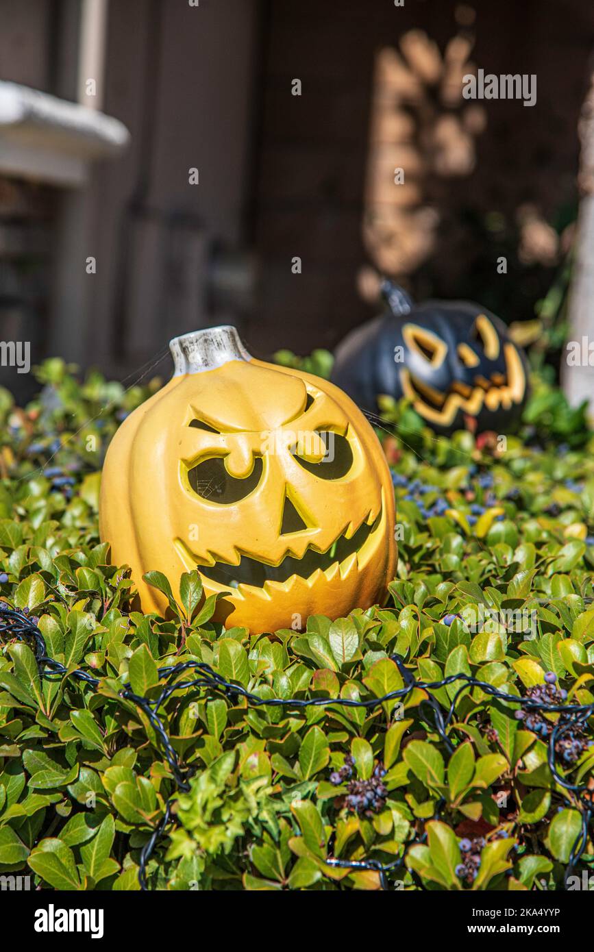 Una decorazione di Halloween di zucca intagliata. Foto Stock