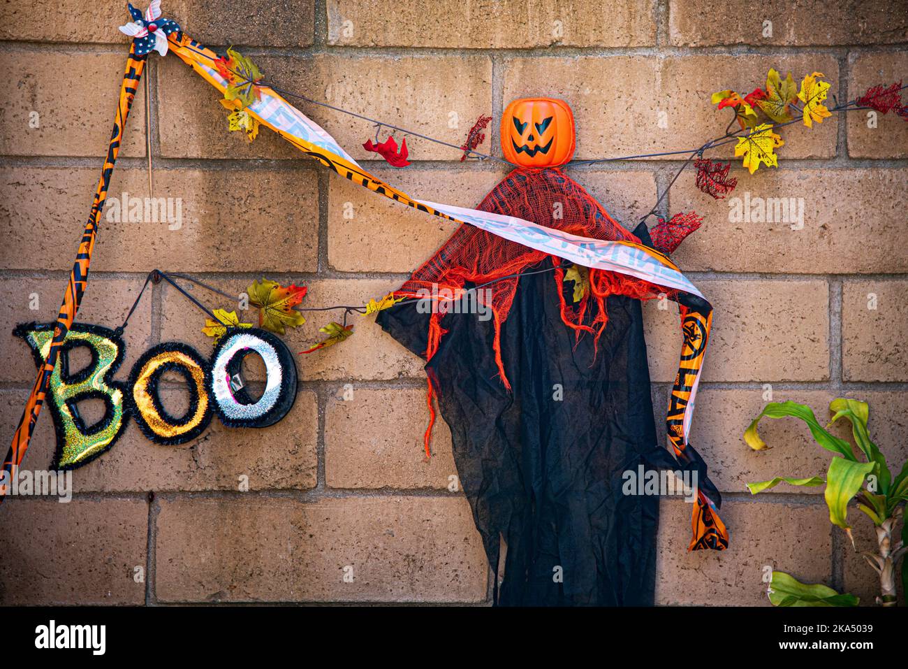 Una pirata - testina di zucca Halloween decorazione. Foto Stock