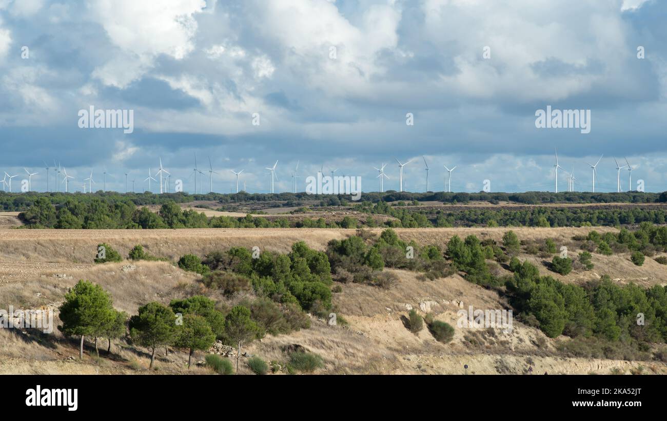 Fattoria eolica all'orizzonte. Verde paesaggio intorno. Valladolid Foto Stock