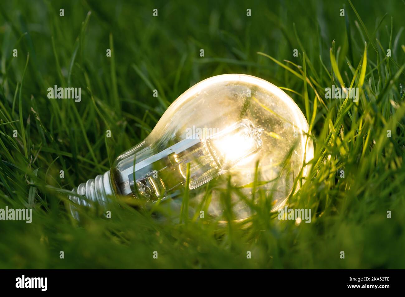 Foto ravvicinata di una lampadina brillante con sfondo naturale come simbolo della riduzione del consumo energetico. Concetto di salvare o proteggere il pianeta o il mondo. Foto Stock