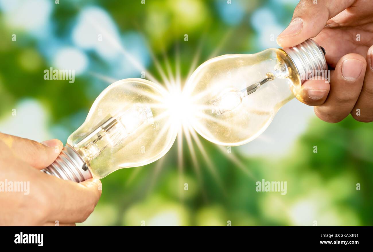Foto ravvicinata di più lampadine che brillano come simbolo del brainstorming e del lavoro di squadra. Concetto di pensiero e di studio per l'istruzione e la soluzione. Foto Stock