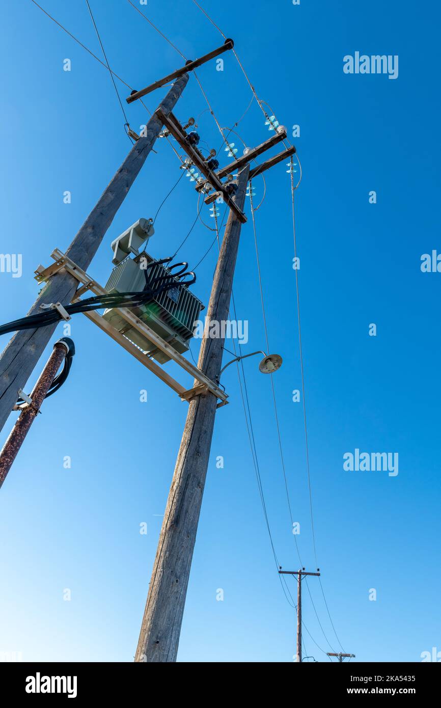 Cavo elettrico sospeso su pali di legno che portano la fornitura di energia elettrica alle aree rurali. Foto Stock