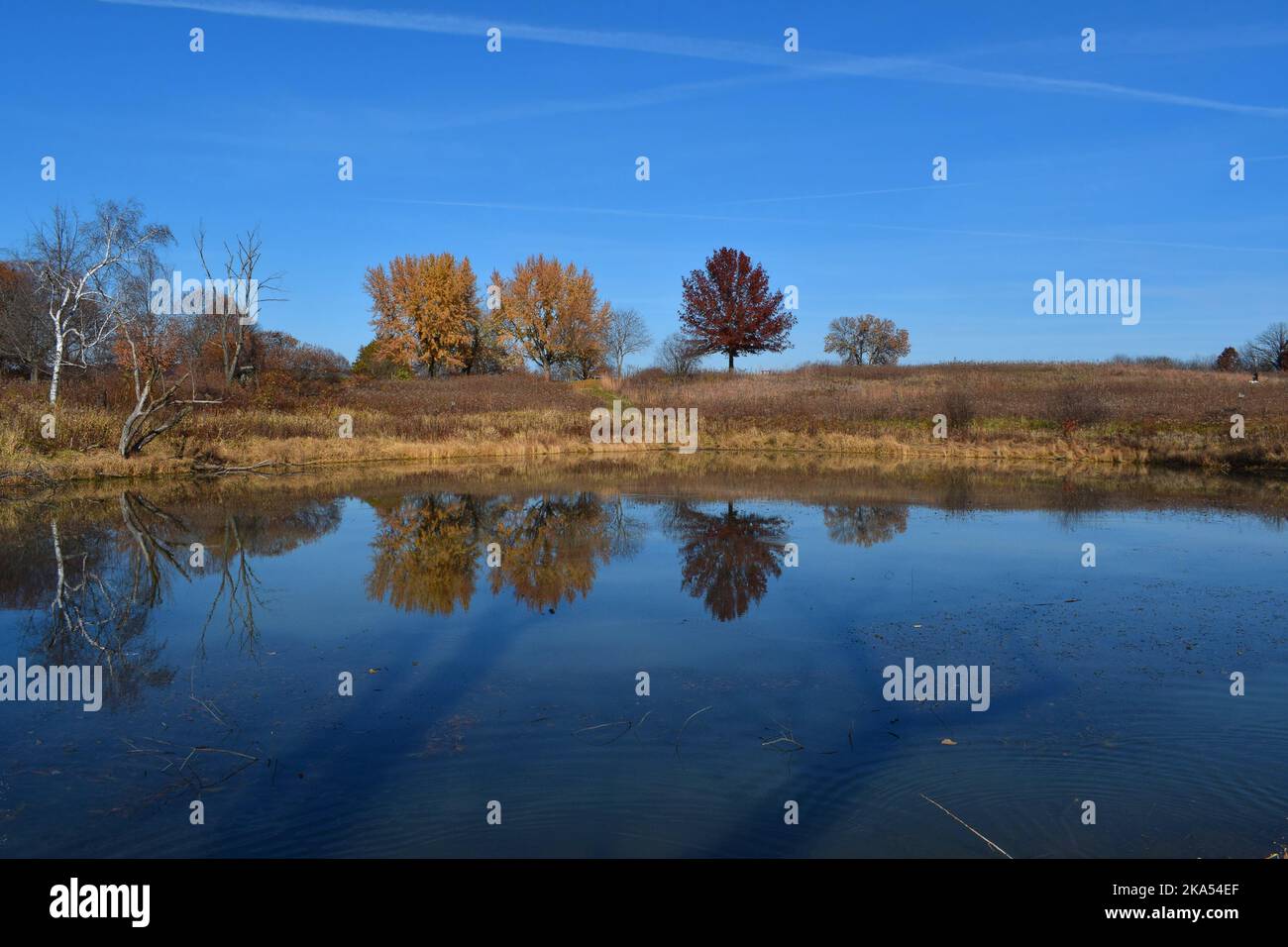 Colori autunnali nel Wisconsin sudoccidentale Foto Stock