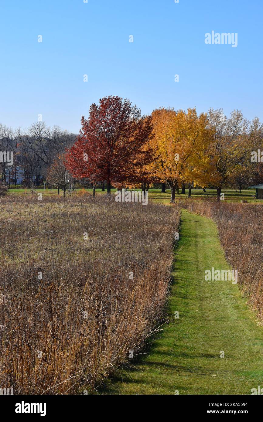 Colori autunnali nel Wisconsin sudoccidentale Foto Stock