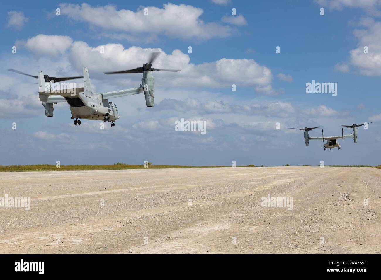 U.S. Marine Corps MV-22 ospreys assegnato a Marine Medium Tiltrotor Squadron 265, Marine Aircraft Group 36, 1st Marine Aircraft Wing, decollo ad es Shima, Giappone, 24 ottobre 2022. III Marine Expeditionary Force ha ospitato un seminario di media per i rappresentanti dei media di Okinawan per fornire una migliore comprensione di ciò che il III MEF fa al fine di migliorare le relazioni con la loro nazione ospitante. I rappresentanti dei media hanno avuto l'opportunità di volare su aerei militari, osservare le gamme di fuoco dal vivo e visitare il Jungle Warfare Training Center. (STATI UNITI Corpo marino foto di Lance CPL. Tyler Andrews) Foto Stock