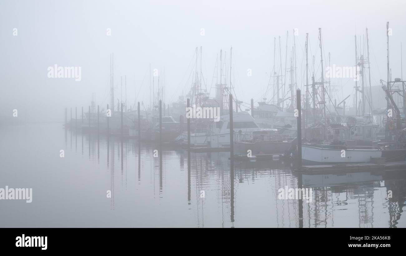 Barche da pesca ormeggiate in un molo in nebbia che si riflette in acque calme Foto Stock