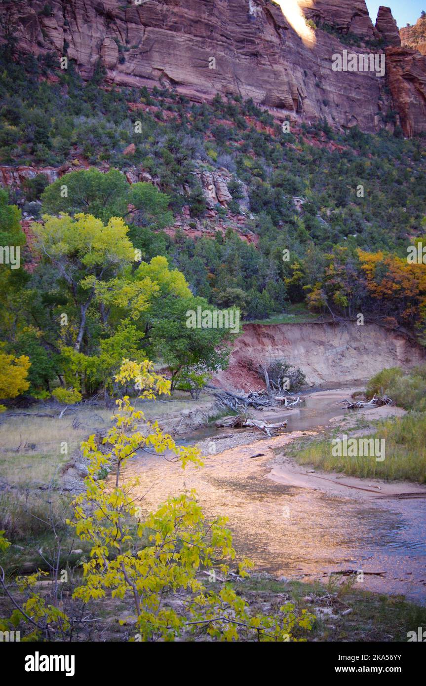 Parco Nazionale di Zion, Utah Foto Stock