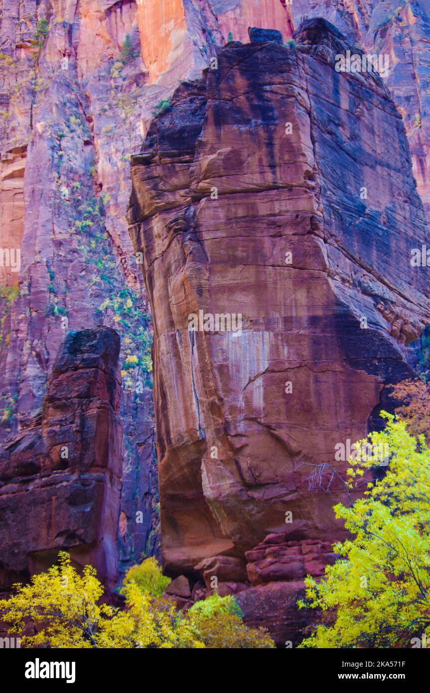 Parco Nazionale di Zion, Utah Foto Stock