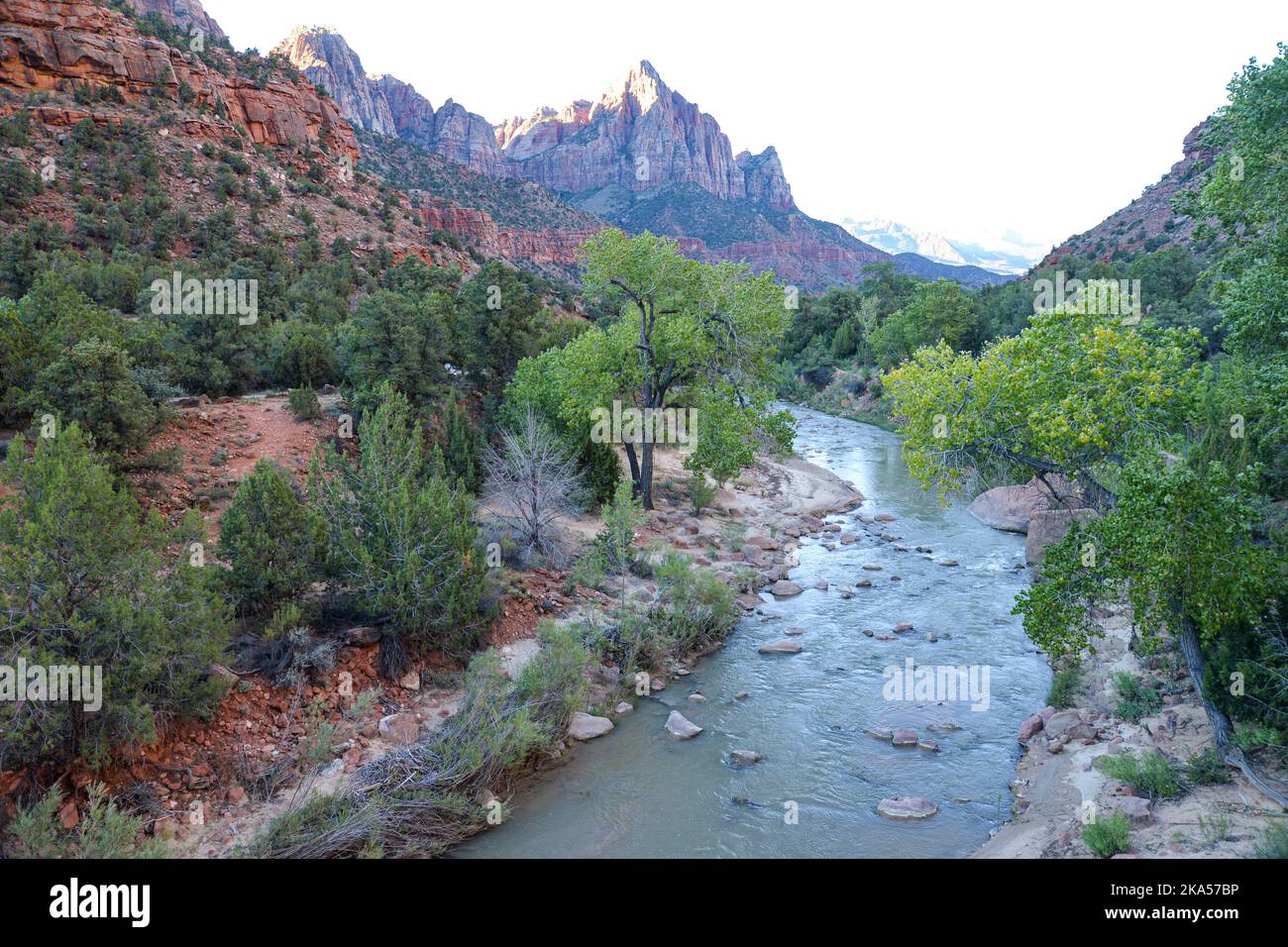 La sentinella nel Parco Nazionale di Zion, Utah Foto Stock