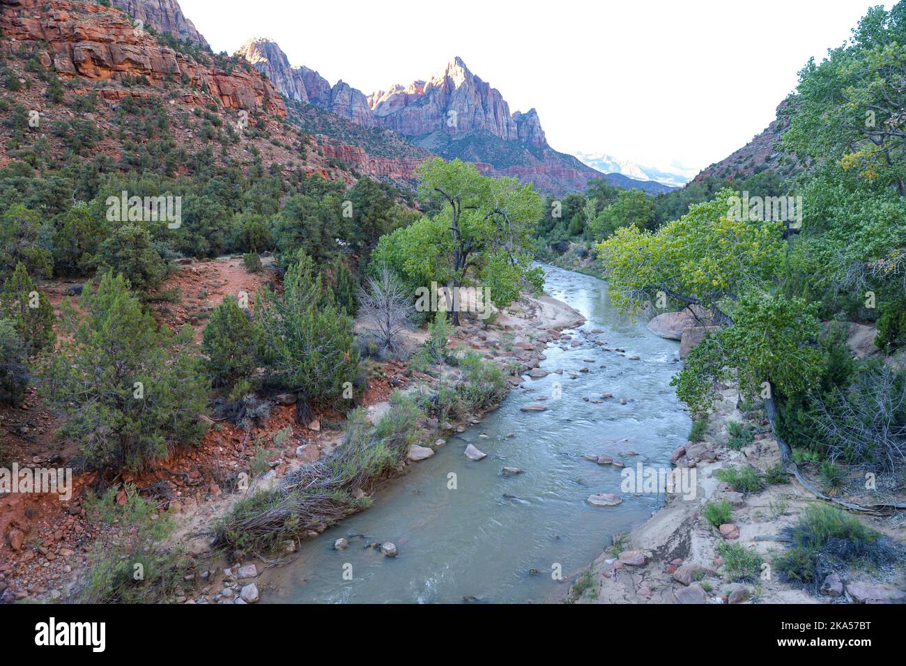 La sentinella nel Parco Nazionale di Zion, Utah Foto Stock