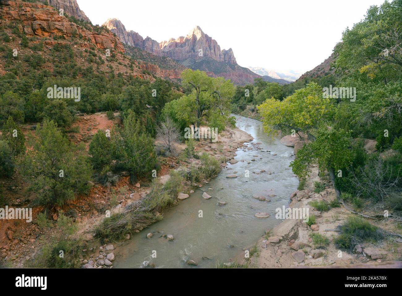 La sentinella nel Parco Nazionale di Zion, Utah Foto Stock