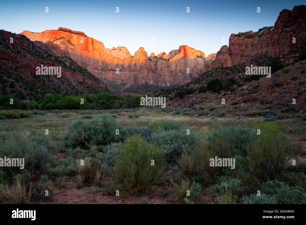 Le torri della Vergine del Parco Nazionale Zion, Utah Foto Stock