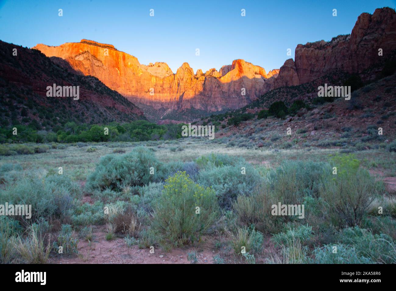 Le torri della Vergine del Parco Nazionale Zion, Utah Foto Stock