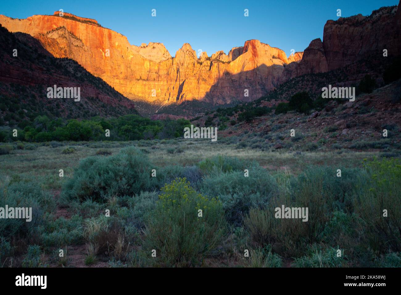 Le torri della Vergine del Parco Nazionale Zion, Utah Foto Stock