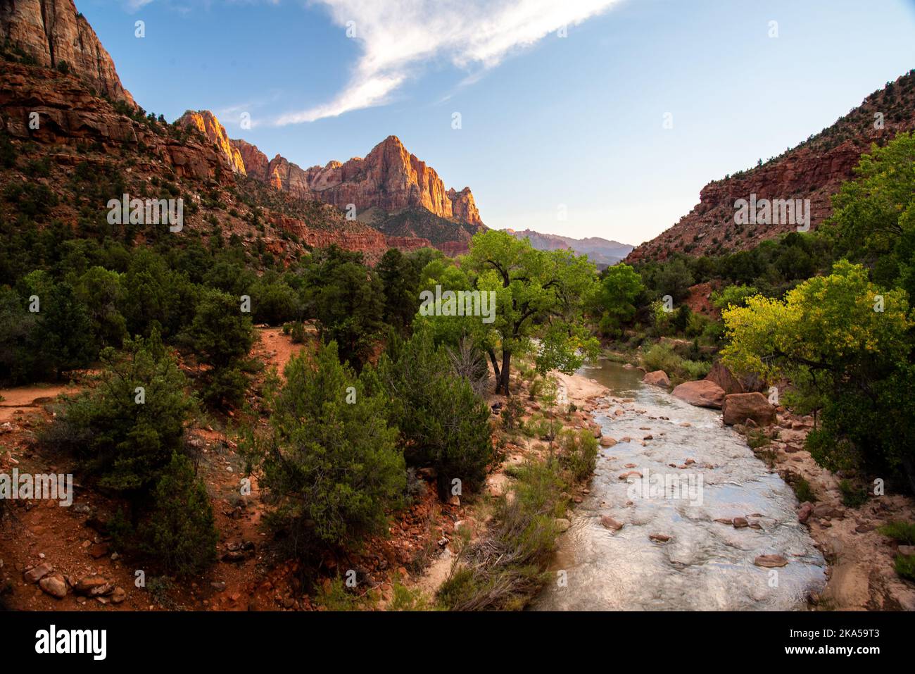 La sentinella nel Parco Nazionale di Zion, Utah Foto Stock