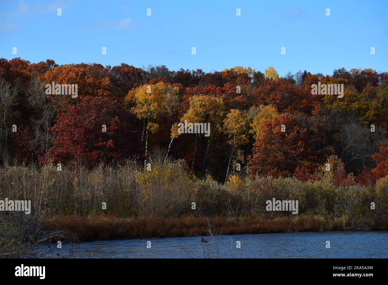 Colori autunnali nel Wisconsin sudoccidentale Foto Stock