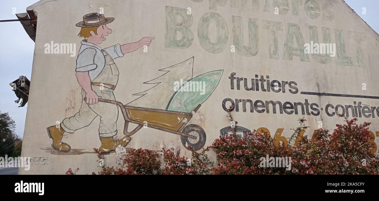 Publicité ancienne Pépinières Boutault , fruitiers, ornements, conifères Foto Stock