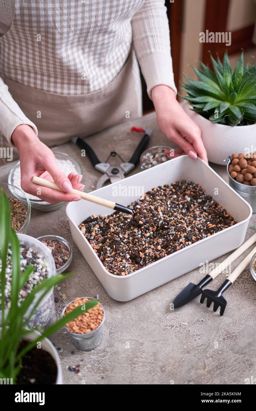 preparazione di substrato di suolo per trapiantare piante di casa su fondo di calcestruzzo Foto Stock