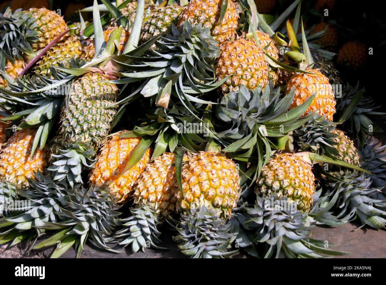 frutta tropicale fresca di ananas dal mercato locale di strada dello sri lanka Foto Stock