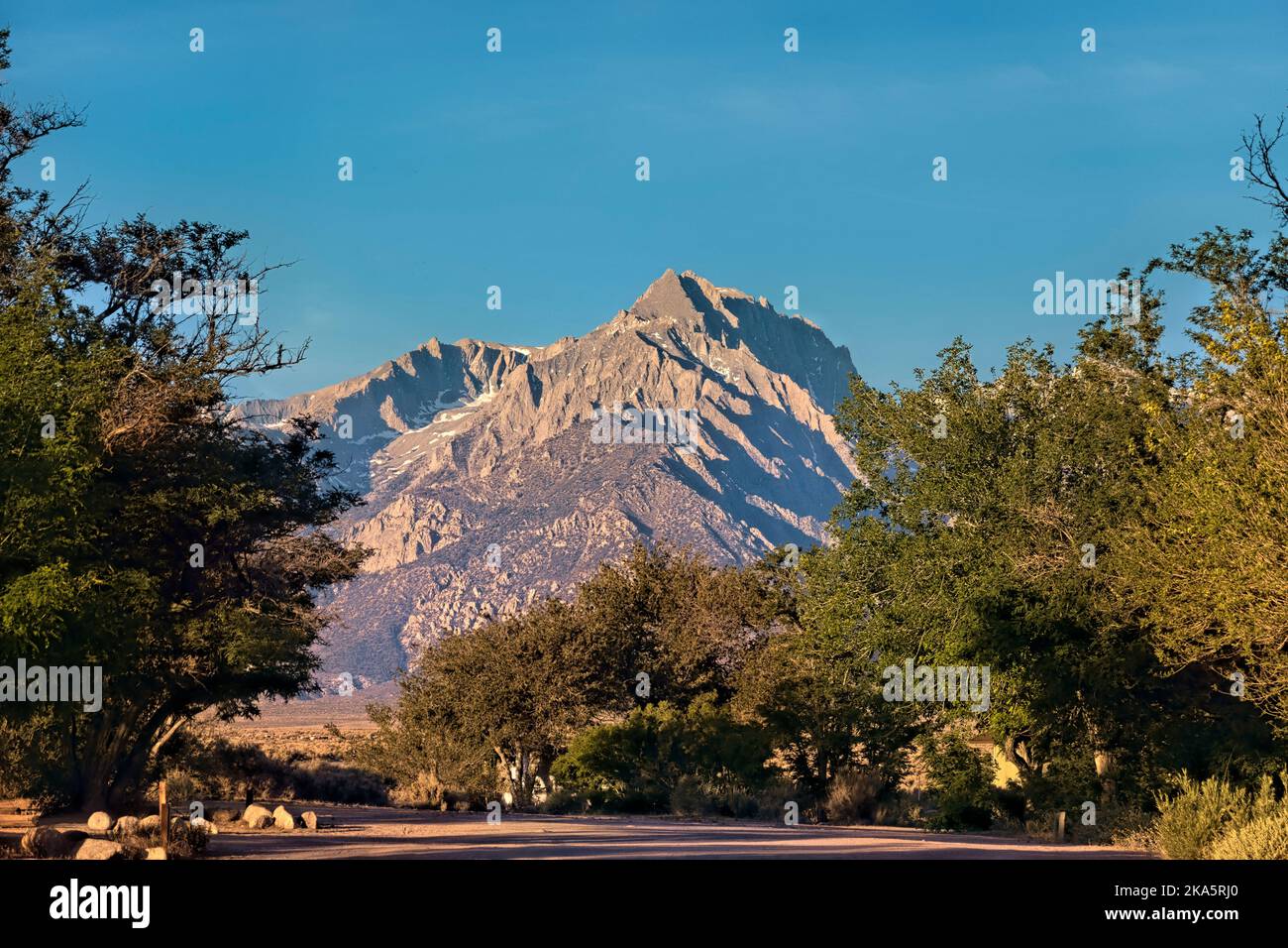 Vista del monte Whitney (14.505 metri circa), da Lone Pine, California, Stati Uniti Foto Stock