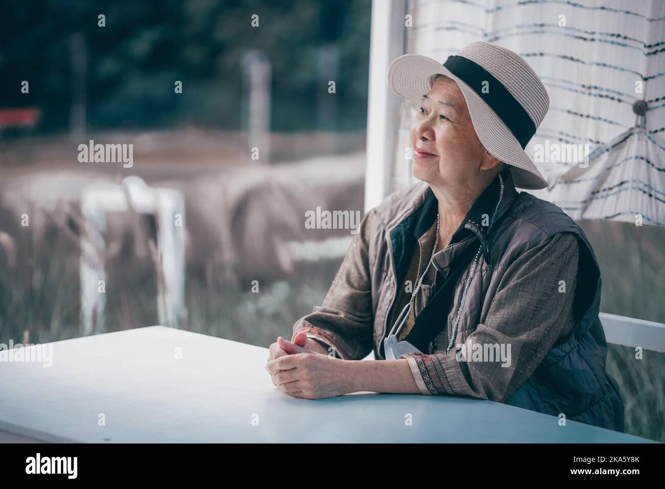 anziana anziana anziana donna anziana riposante seduta rilassante nel parco giardino Foto Stock