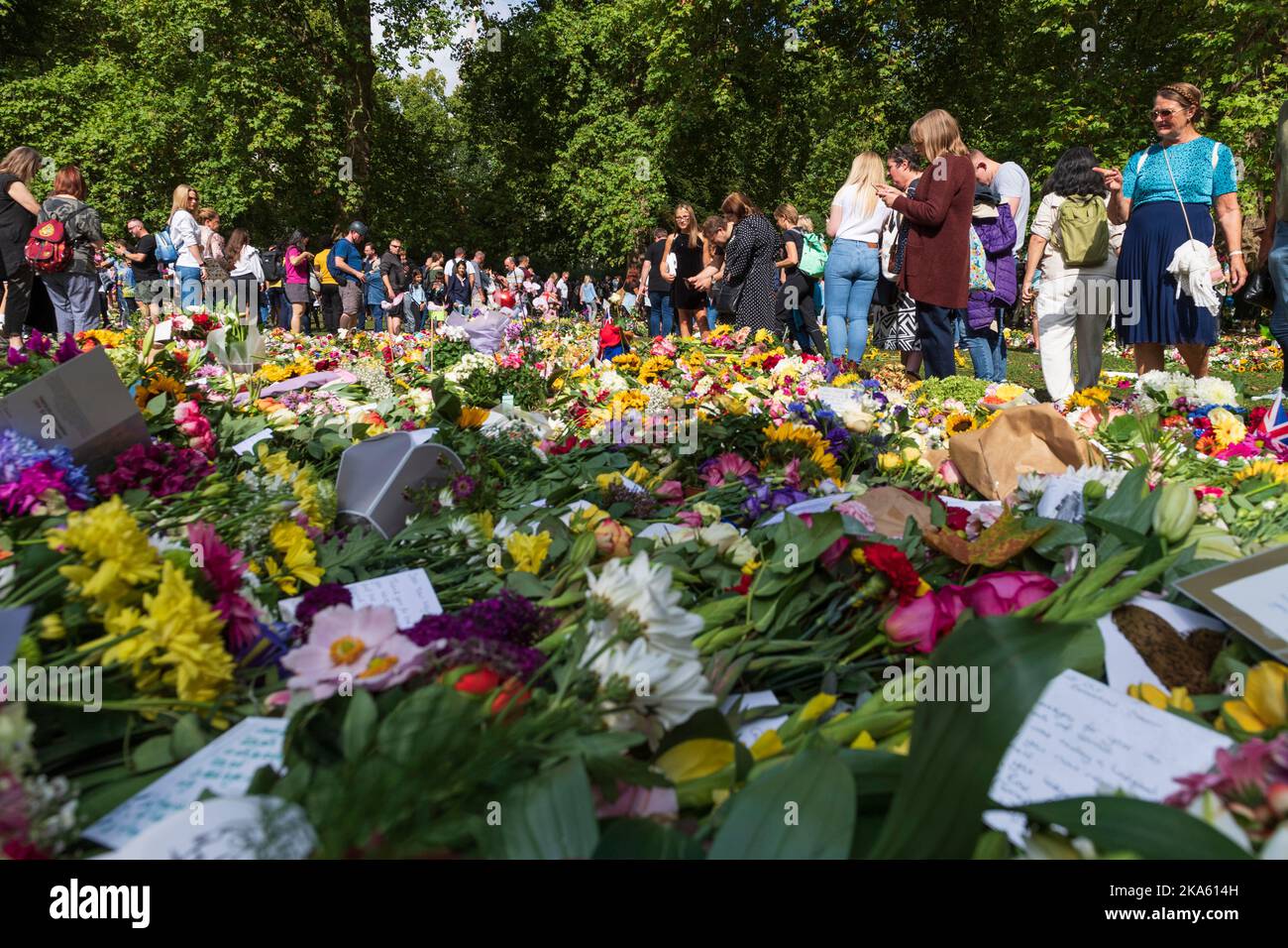 Persone che osservano i tributi floreali a Green Park, lasciati dai lutto per segnare la morte della Regina Elisabetta II. Green Park, Londra, Regno Unito. 11 settembre 2022 Foto Stock