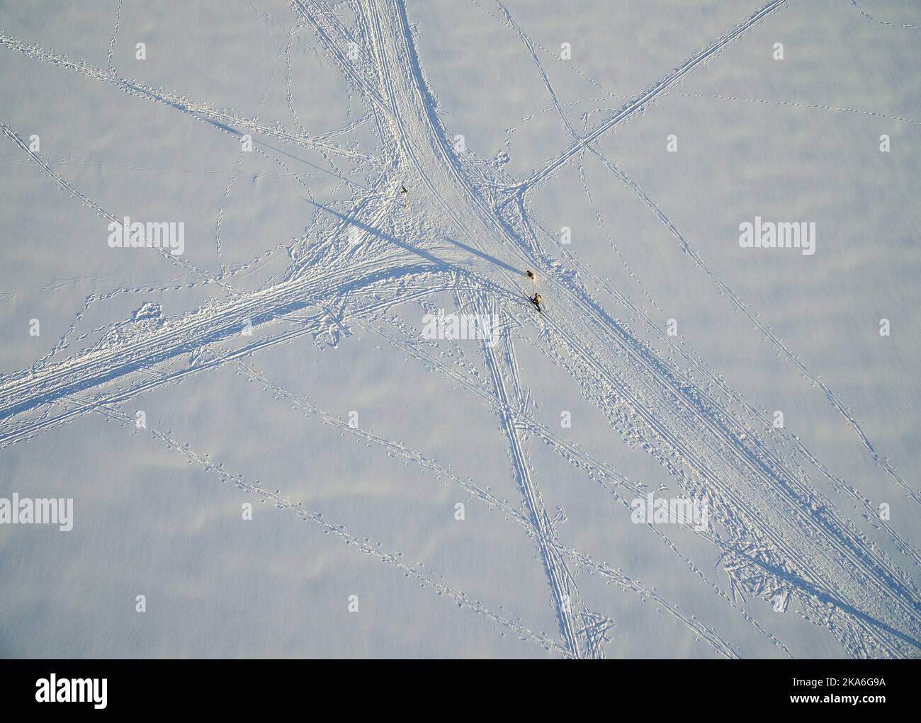 Grua, Norvegia 20160223. Sci di fondo con dogon il ghiaccio sul lago Mylla. Il tempo glorioso e le buone condizioni di sci hanno dato vacanze invernali da sogno nella Norvegia orientale. Foto: Tore Meeke / NTB scanpix Foto Stock