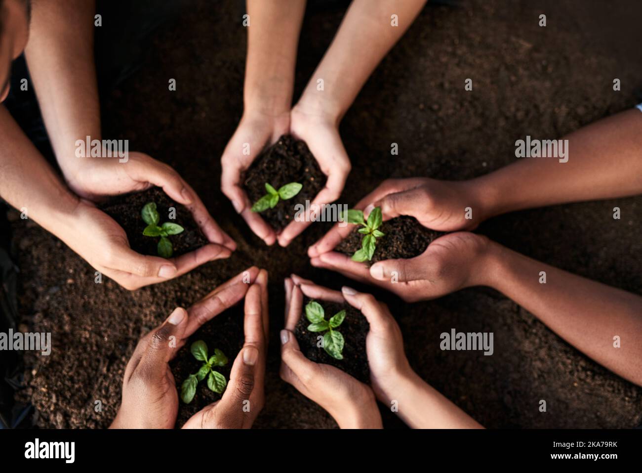 Le cose buone prendono tempo. Un gruppo di gente non riconoscibile che tiene le piante che crescono dal suolo. Foto Stock