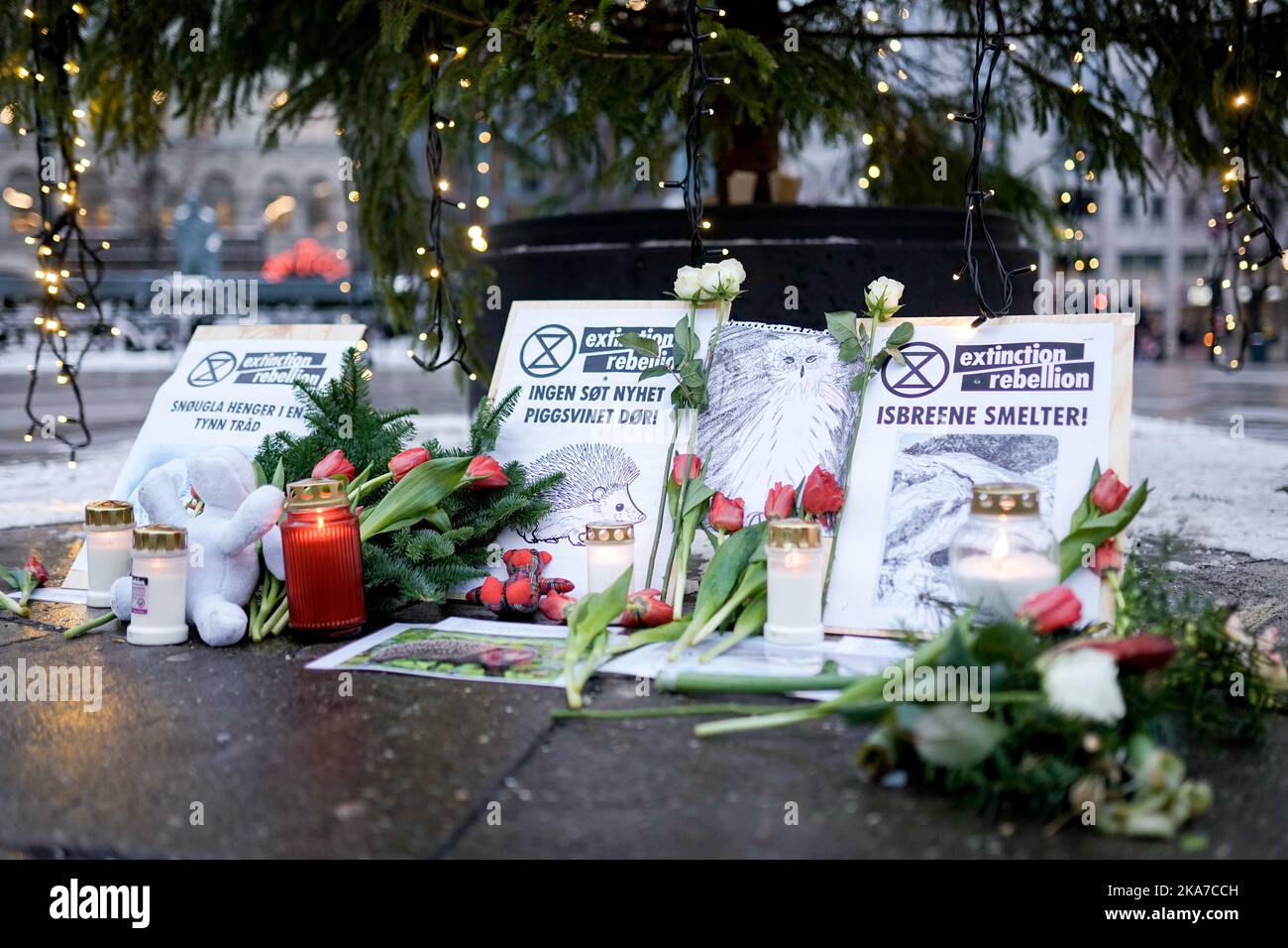 Oslo 20211227. Extinction Rebellion ha allestito memoriali per le specie in via di estinzione in 10 diverse località nel centro di Oslo. Foto: Fredrik Hagen / NTB Foto Stock